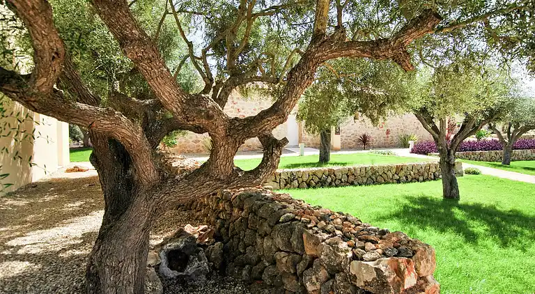 Bungalow in Sant Llorenç des Cardassar