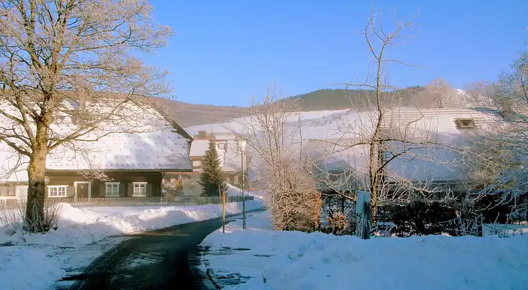 Ferielejlighed i Innerlehen