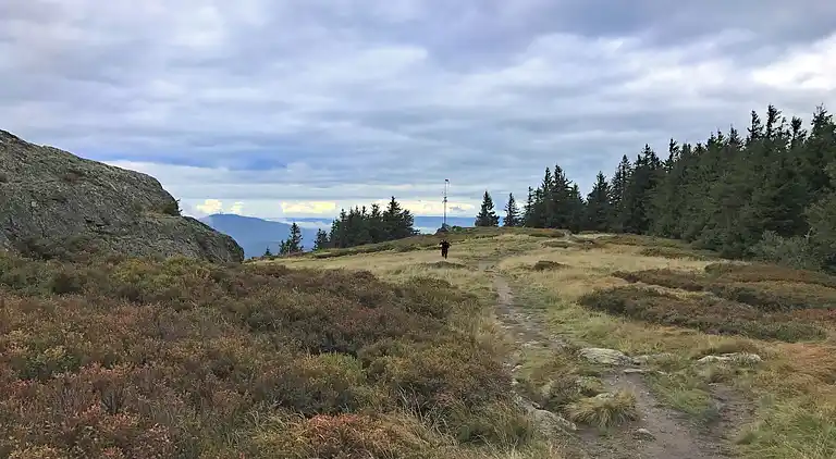 Holiday home in Buchet