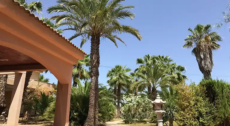 Villa i Torrevieja