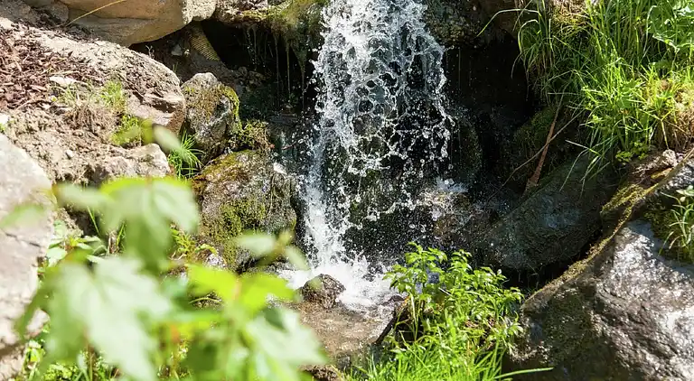 Ferielejlighed i Neuschönau