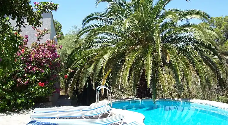 Villa in Cala Murada