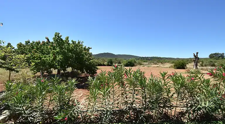 Sommerhus i San Rafael