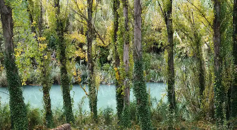 Cottage in La Recueja