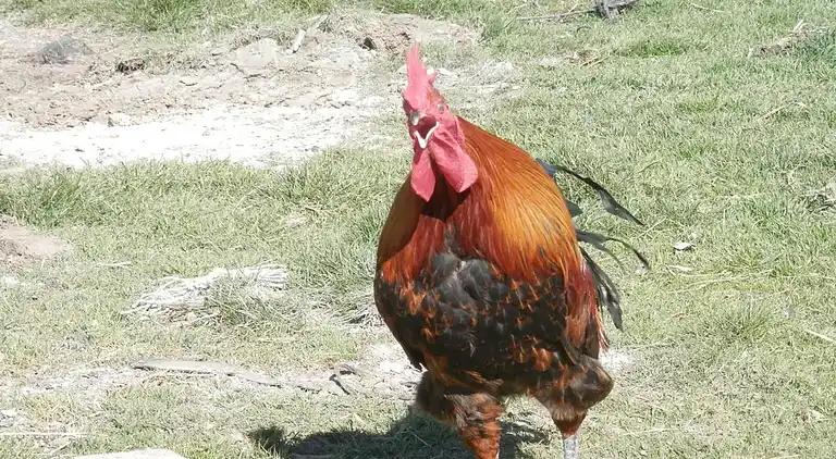 Holiday home in Ávila‎