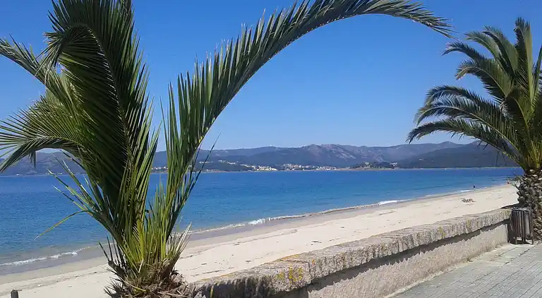 Apartment in Oleiros