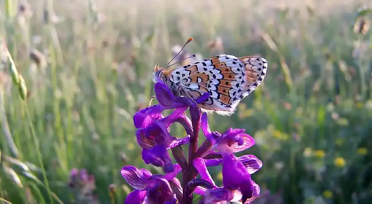 Holiday home in Ávila‎