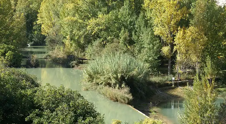 Cottage in La Recueja