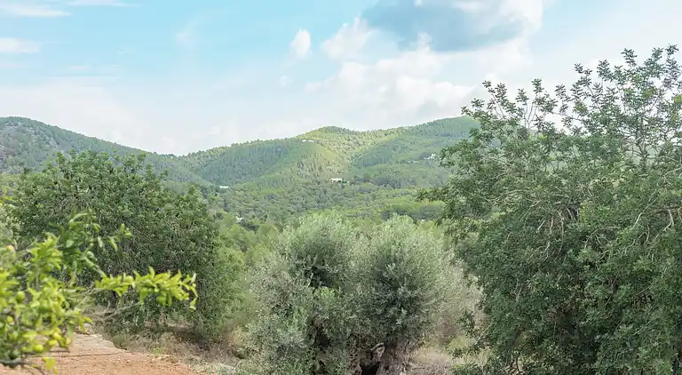 Villa i Sant Joan de Labritja