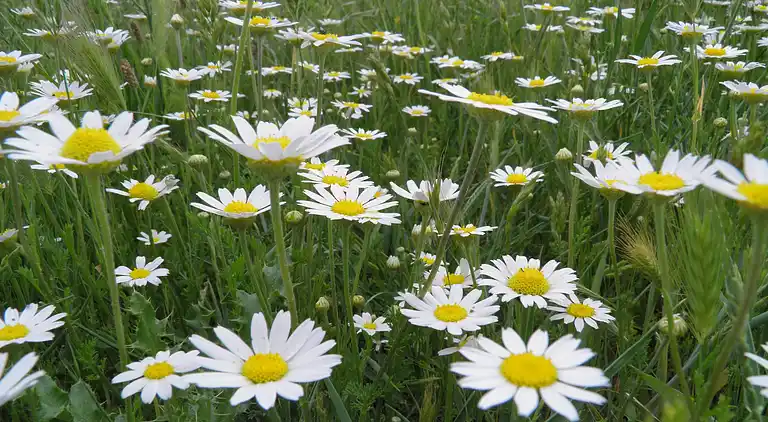 Holiday home in Ávila‎
