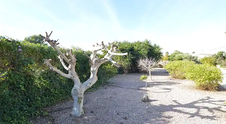 Villa in Callosa de Segura