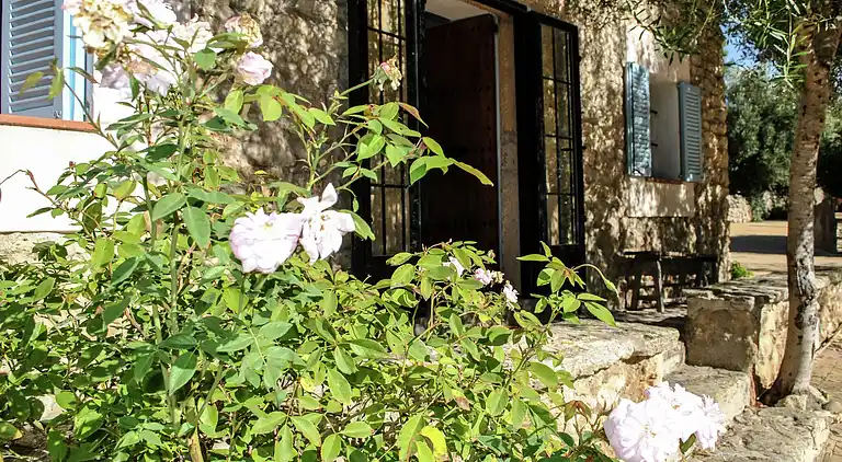 Manor house in Montuïri