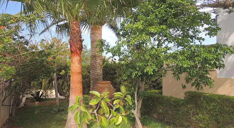 Villa in Badia Blava