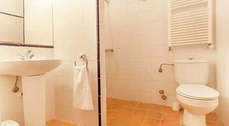 Manor house in El Palmer