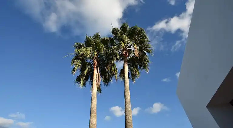 Manor house in Sant Llorenç