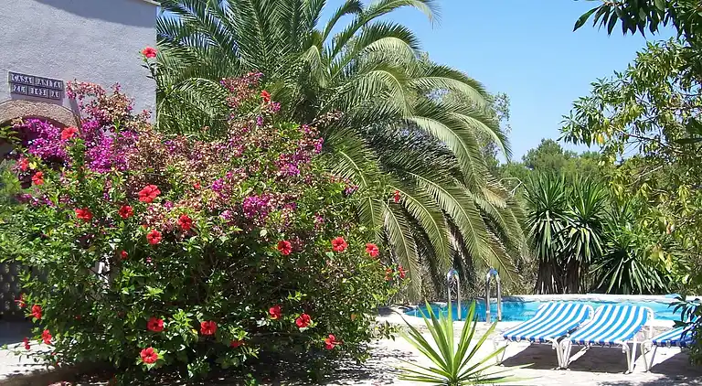 Villa in Cala Murada