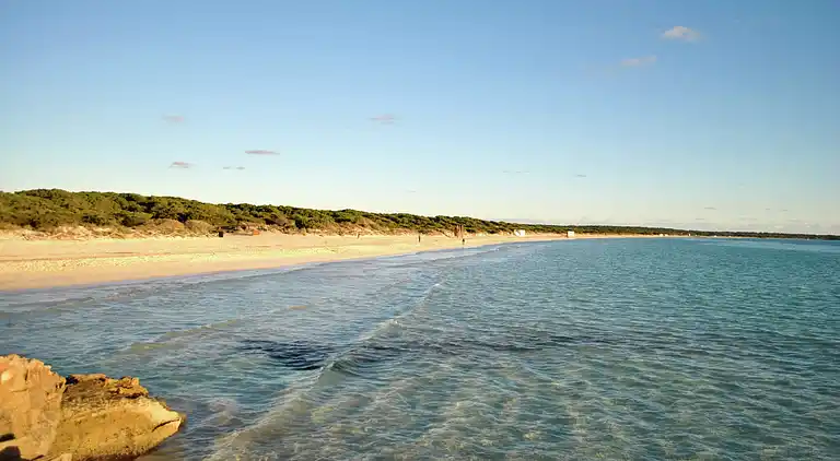 Manor house in El Palmer