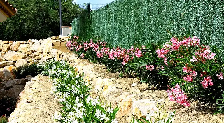 Villa i Santa Cristina d'Aro