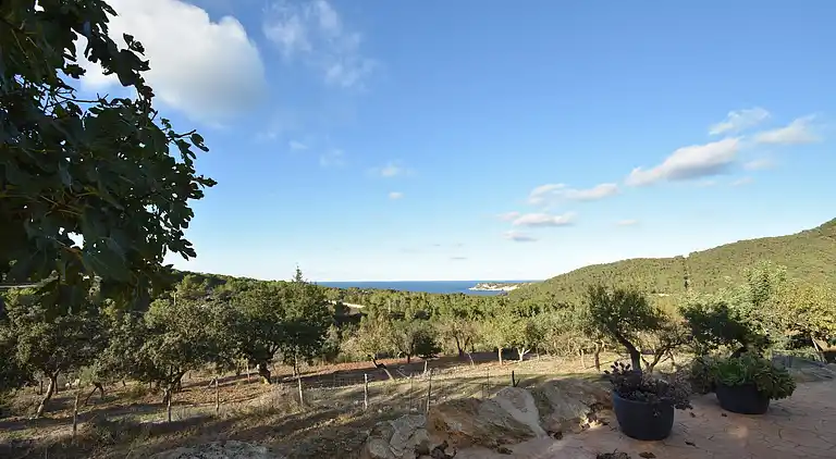 Manor house in Sant Llorenç