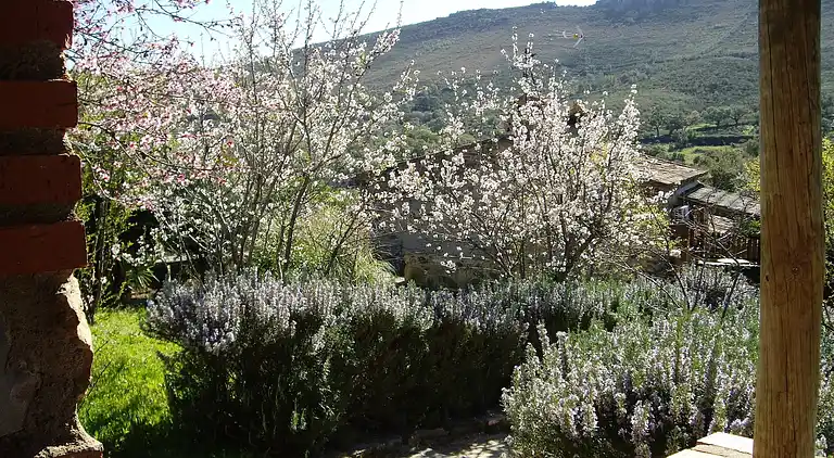 Holiday home in Valencia de Alcántara