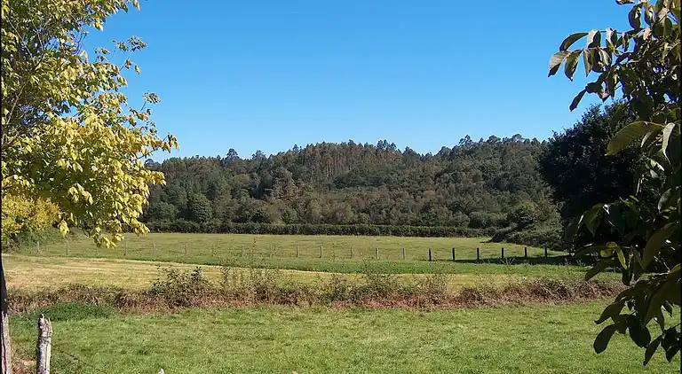 Manor house in Almarza de Cameros