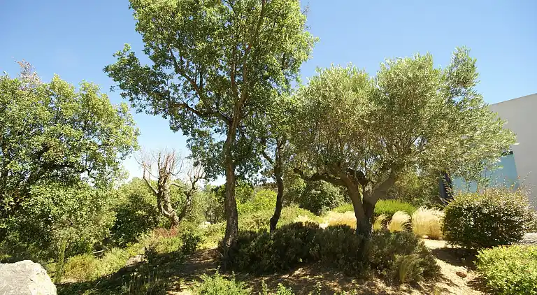 Villa in Santa Maria de Solius