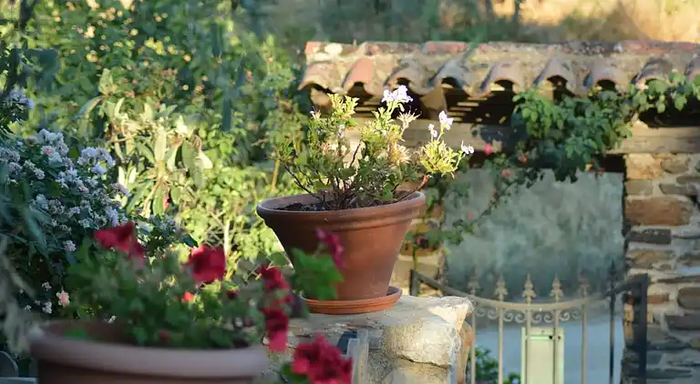 Cottage in Valencia de Alcántara
