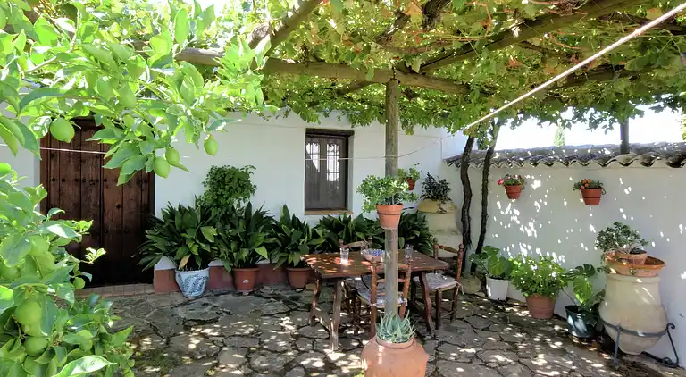 Hytte i Fuentes de Cesna