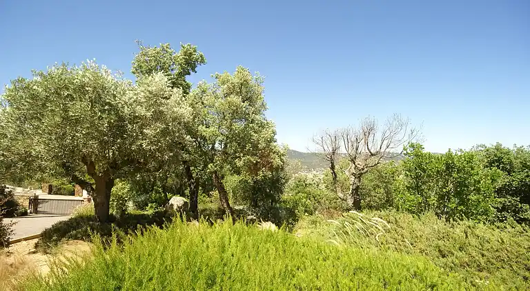 Villa in Santa Maria de Solius