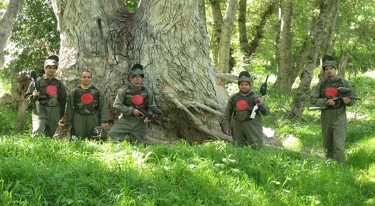 Manor house in Almarza de Cameros