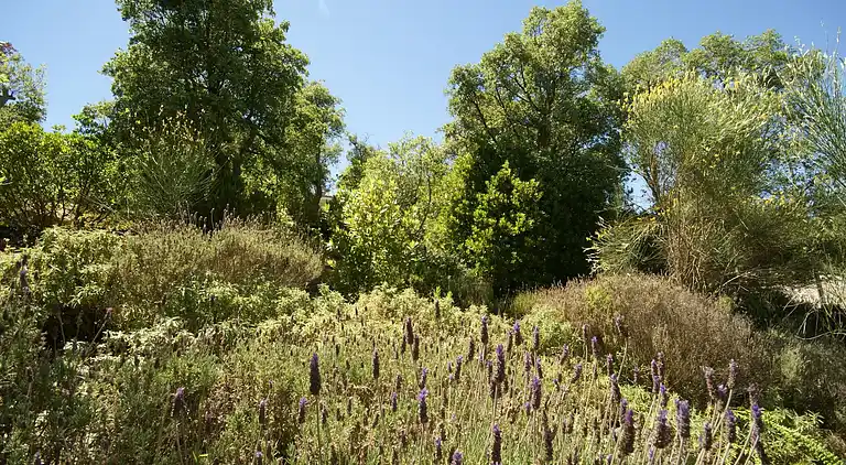 Villa in Santa Maria de Solius