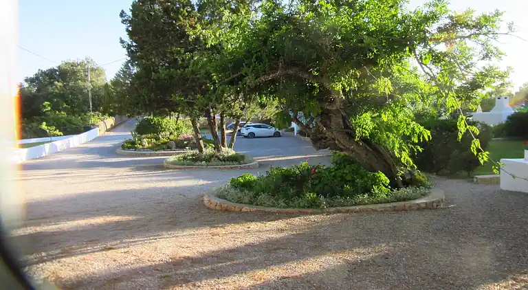 Sommerhus i Sant Josep de sa Talaia