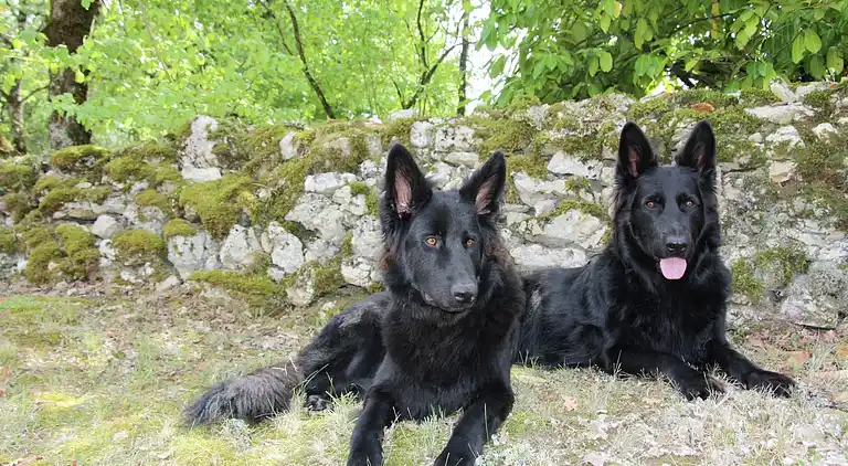 Holiday home in Caillac