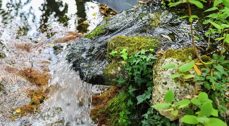 Holiday home in Capdrot