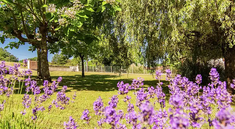 Holiday home in La Roche-Chalais