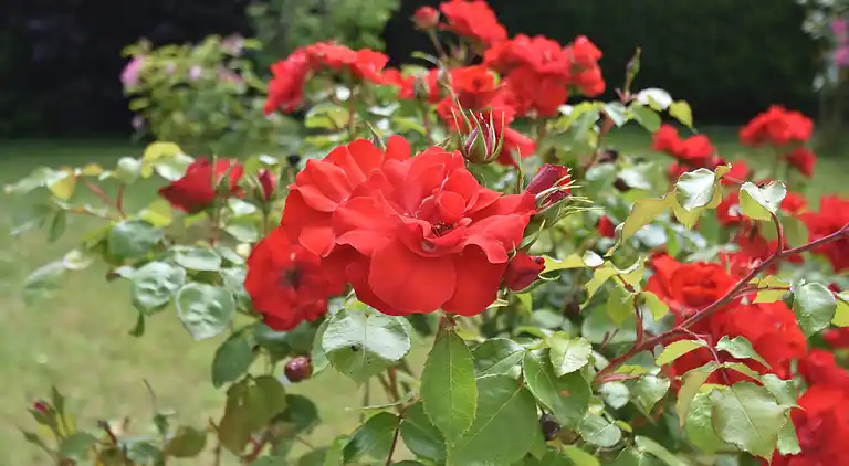 Holiday home in Clohars-Carnoët