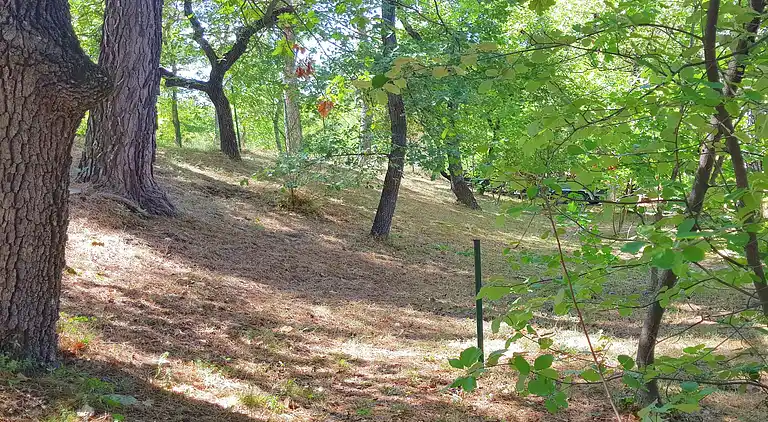 Holiday home in Faucon