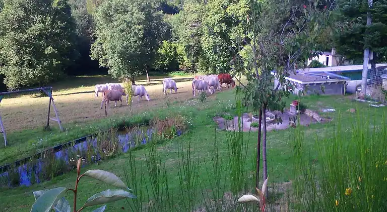 Sommerhus i Saint-Hilaire