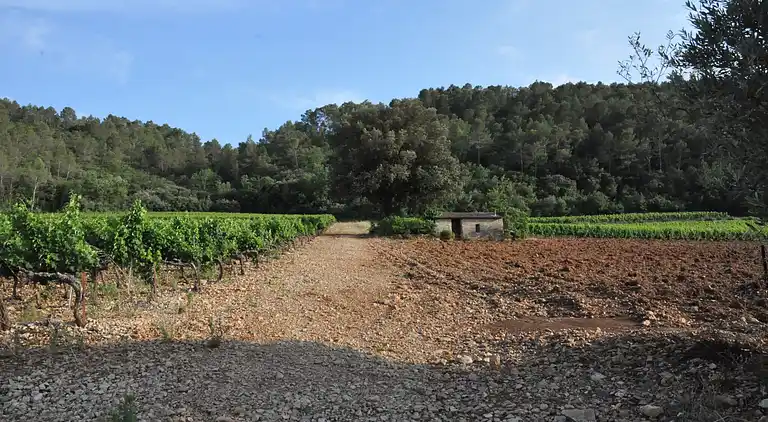 Villa i Roquebrune-sur-Argens