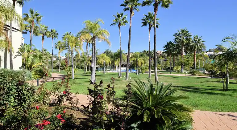 Apartment in El Paraíso
