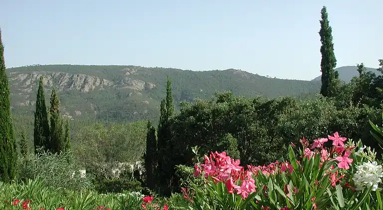 Villa in Poggio-d'Oletta