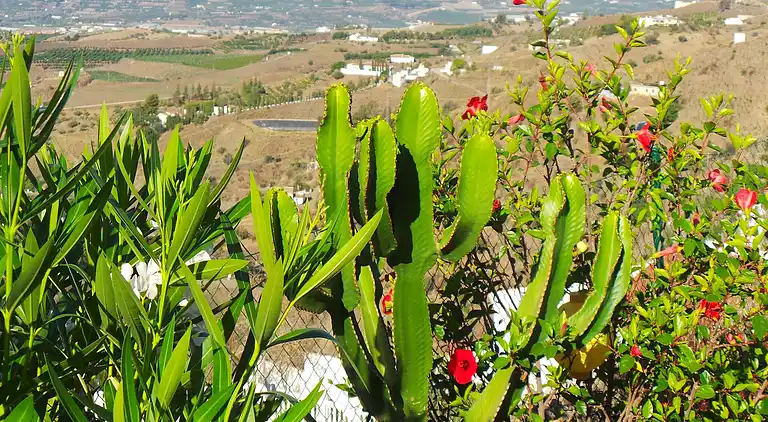 Villa i Vélez-Málaga