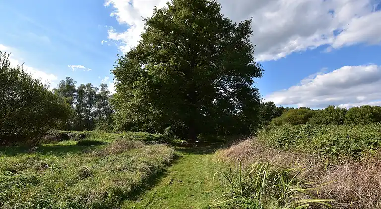 Holiday home in Rezay