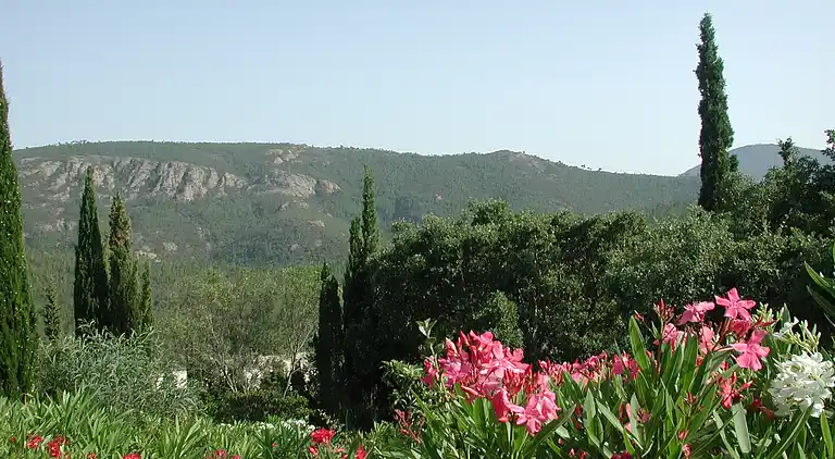 Villa in Poggio-d'Oletta