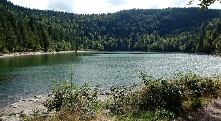 Cottage in Xonrupt-Longemer