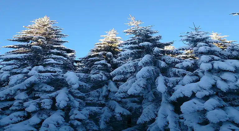 Cottage in Xonrupt-Longemer