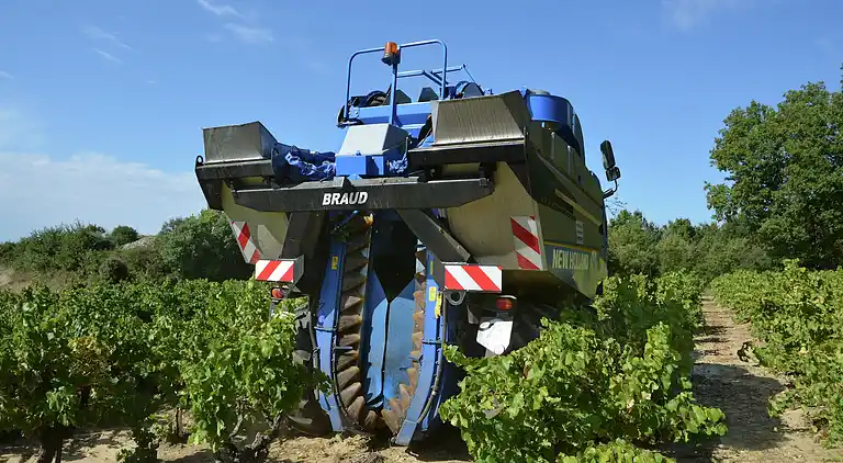 Villa in Roquecourbe-Minervois
