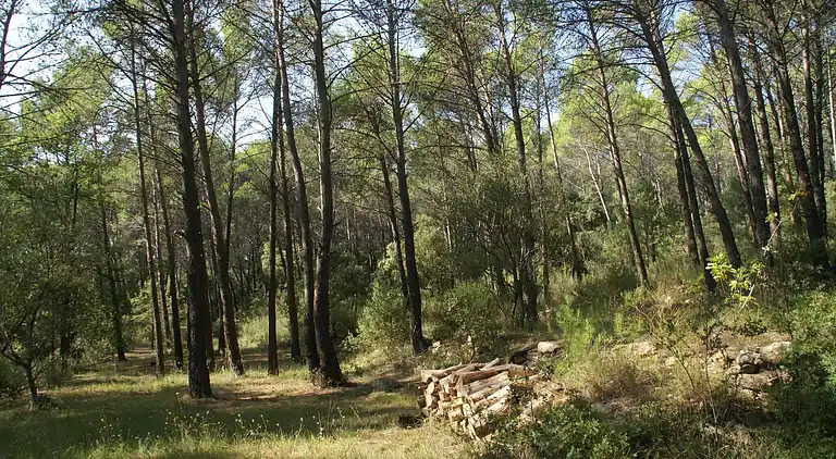 Sommerhus i Saint-Antonin-du-Var