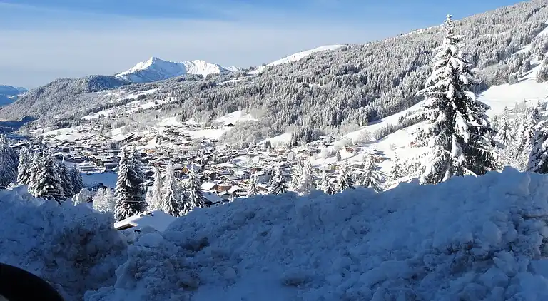 Apartment in Les Gets