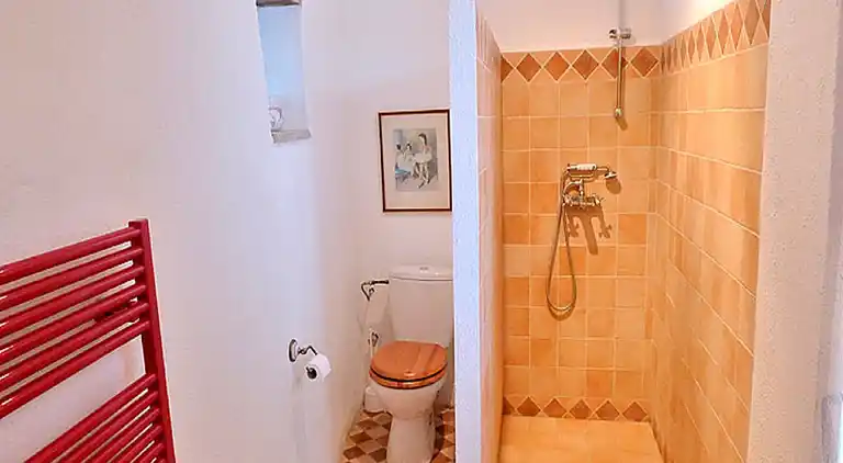 Manor house in Montrigaud